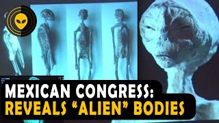 It's Really Happening! Mexican Congress Displays Ancient Alien Bodies