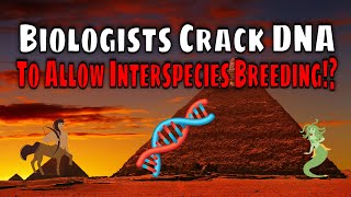 Biologists Just Got Closer to The DNA Secrets That Stop Species From Interbreeding! So What&#039;s Next?