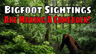 As People Begin To Enjoy The Outdoors Again After Lockdowns, Bigfoot Sightings Return...