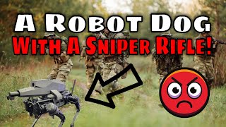 Robot Dog Gets Outfitted With Sniper Rifle - Teamed With Killware, What Does The Future Hold?